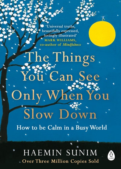 THE THINGS YOU CAN SEE ONLY WHEN YOU SLOW DOWN Haemin Sunim