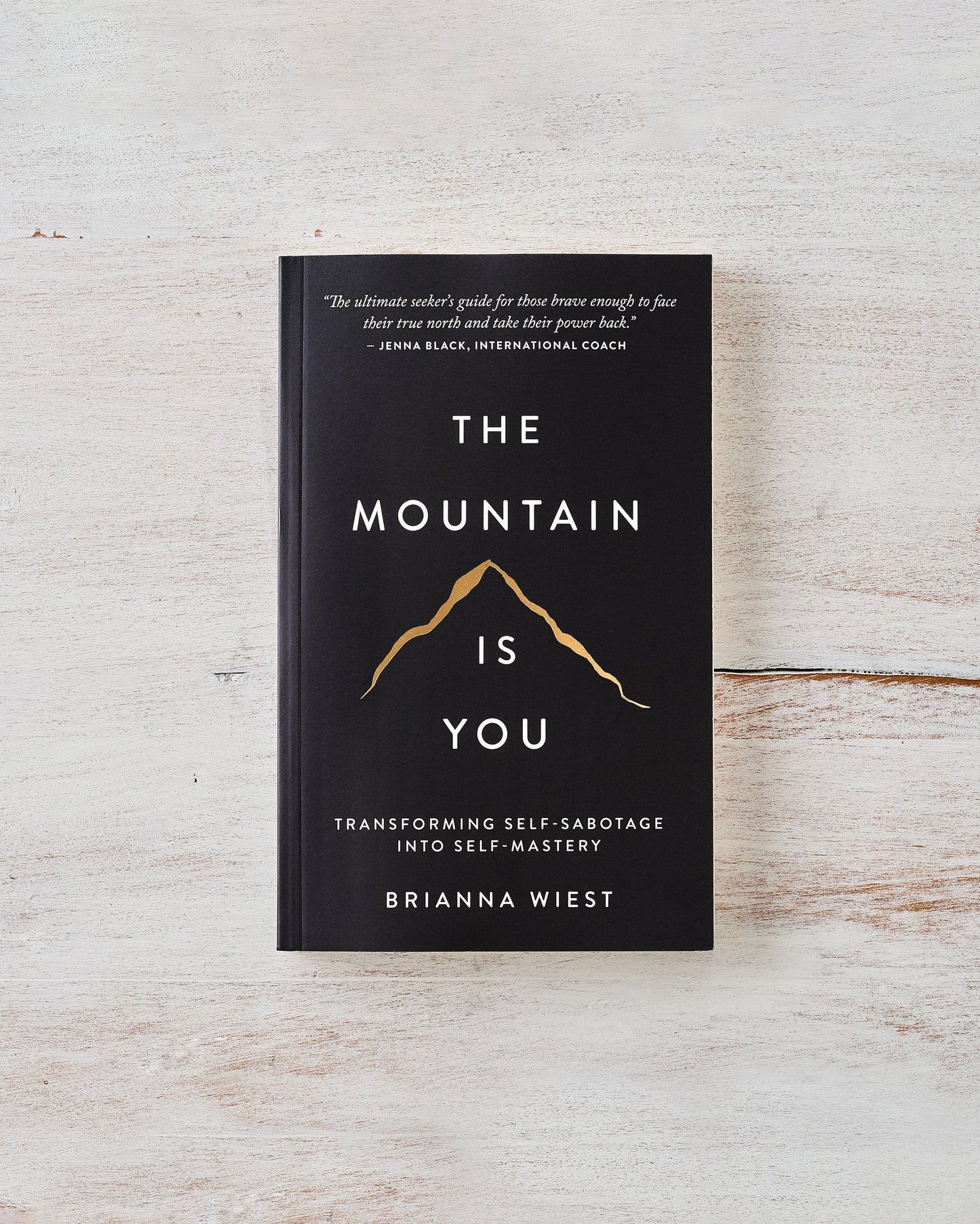THE MOUTAIN IS YOU Brianna Wiest